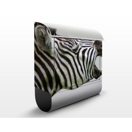 Poštovní schránka s potiskem Řvoucí zebra