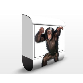 Poštovní schránka s potiskem Opičí párty