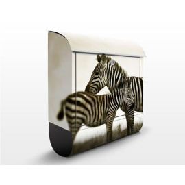 Poštovní schránka s potiskem Zebry